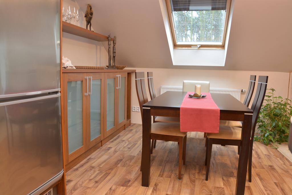 Apartman Bila Hora - Roudna プルゼニ 部屋 写真