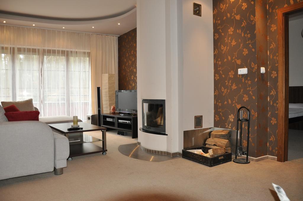 Apartman Bila Hora - Roudna プルゼニ 部屋 写真